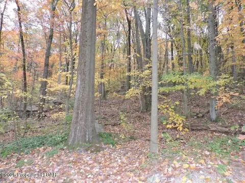 lot16 Tomko Ave, Hanover Township, PA 18706