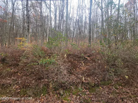 1210 Woodhaven Dr, White Haven, PA 18661