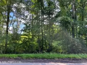 402 Hanover St, Hanover Township, PA 18706
