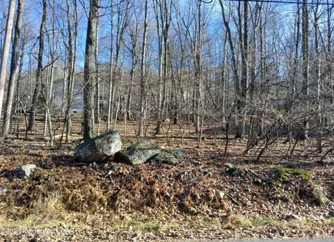 251 Bear Run Dr, Drums, PA 18222