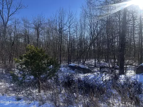 Mvii-307 Brush Mountain Drive, Hazle Township, PA 18202