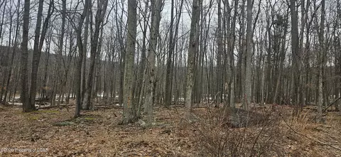 214 Chippewa Dr, Hazle Township, PA 18202