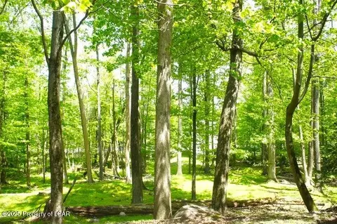 332 Shingle Mill Dr, Drums, PA 18222