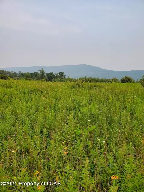 St Johns Road, Drums, PA 18222