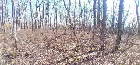 Ws Lot 397 Horseshoe Drive, Hazleton, PA 18202