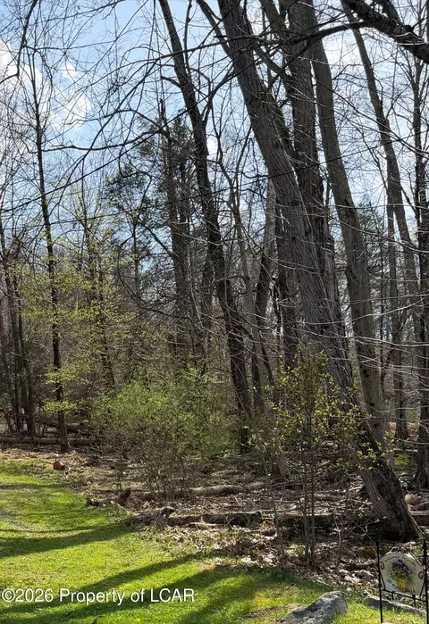 Rear Spring Street, Harveys Lake, PA 18618