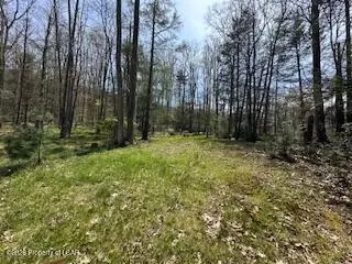 Oak Drive, Drums, PA 18222