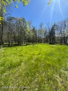 Oak Drive, Drums, PA 18222