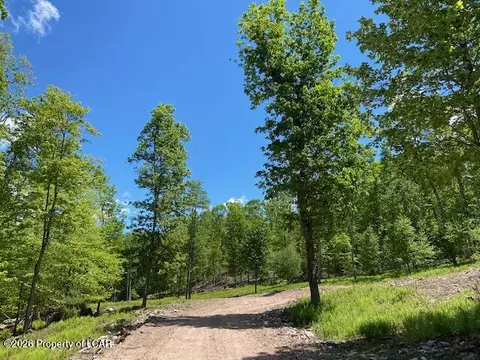 Edge Rock Drive, Beech Mountain Lakes, PA 18222