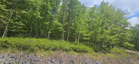 Lv Lot 052 Crnr Mountain Laurel & Dogwood Drive, Hazle Township, PA 18202