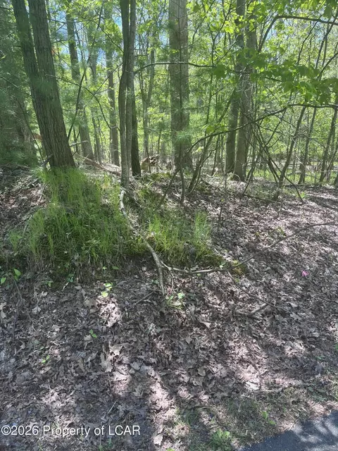 Henry Drive, Mountain Top, PA 18707