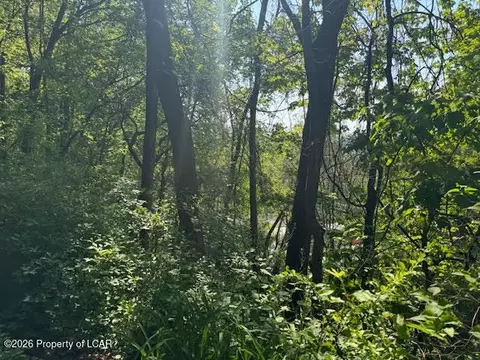 93 Mount Lookout Trl, Exeter, PA 18643 photo 14