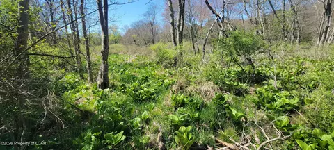 Lower Demunds Road, Dallas, PA 18612