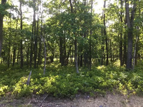 107 Sweet Birch Drive, Hazle Township, PA 18202