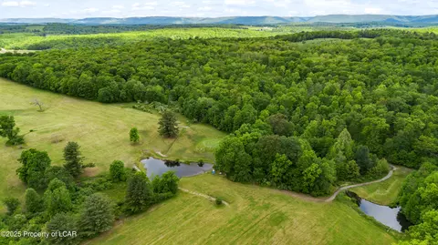 Hunlock-harveyville Road, Hunlock Creek, PA 18621
