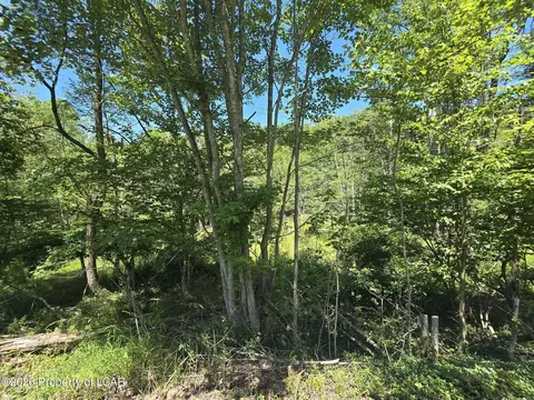 2 Nd St, Harveys Lake, PA 18618