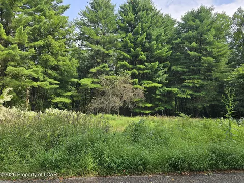 Callender Road, Hunlock Creek, PA 18621