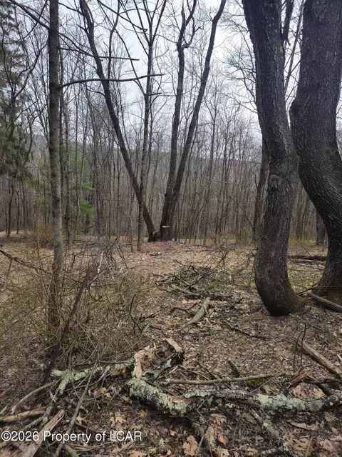 0 Kilmer Rd, Springbrook Twp, PA 18444