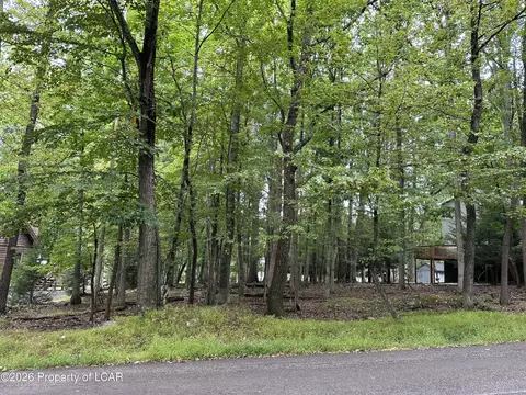39 Bear Run Dr, Drums, PA 18222