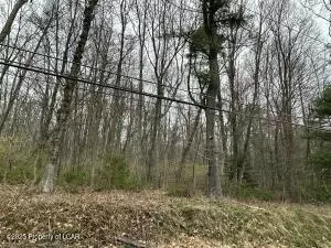 Pond Hill Mountain Road, Nanticoke, PA 18660