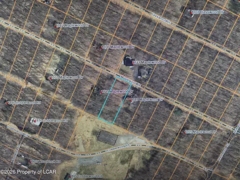 16 Maplewood Dr, Newfoundland, PA 18445