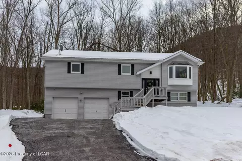165 Buck Ridge Dr, Drums, PA 18222