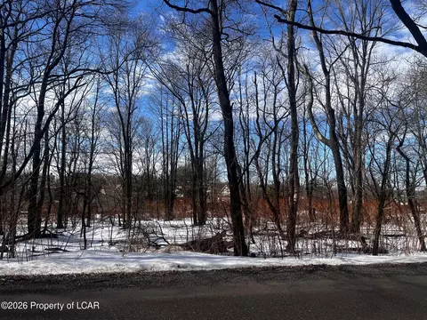 Tresckow Road, Mcadoo, PA 18237