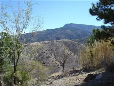175 Dundee Ave, Jerome, AZ 86331 photo 3