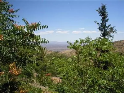 841 Gulch Rd, Jerome, AZ 86331 photo 3