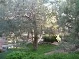 265 Bowstring Dr, Sedona, AZ 86336 photo 23