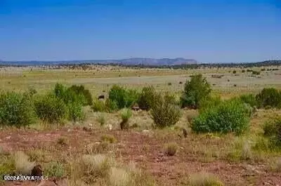 Tbd Antelope Valley Lot A 20 Acres, Seligman, AZ 86337