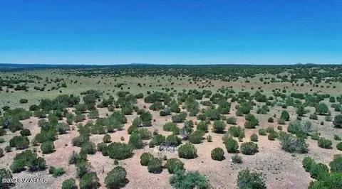 Tbd Jackpot Ranch Rd 13 Acres, Seligman, AZ 86337