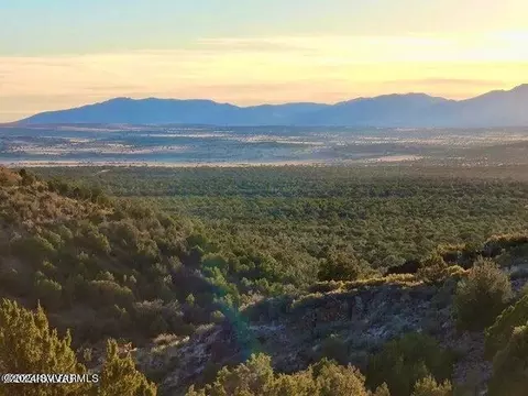 Tbd W Peaceful View Trl 42.87 Acres, Seligman, AZ 86337