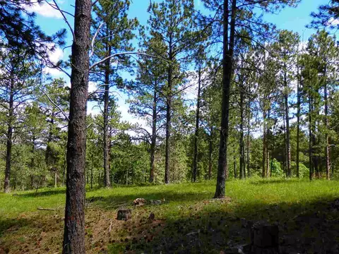 20719 Baneberry Loop, Sturgis, SD 57785 photo 1