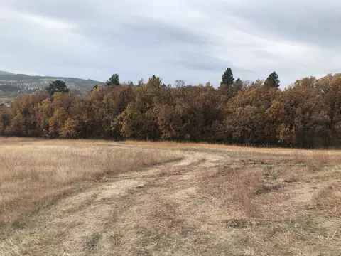 3812 Twisted Oak Rd, Sturgis, SD 57785 photo 10