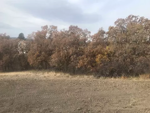 3812 Twisted Oak Rd, Sturgis, SD 57785 photo 11