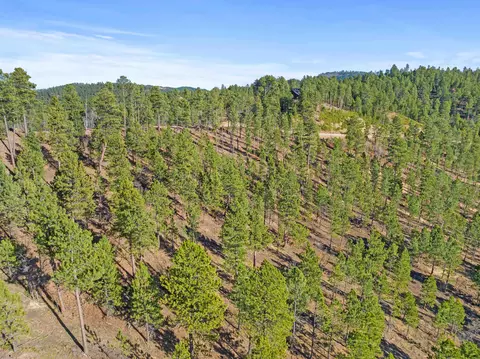 lot103 R Paradise Gulch Loop, Lead, SD 57754 photo 6