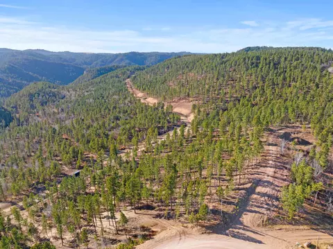 lot103 R Paradise Gulch Loop, Lead, SD 57754 photo 2
