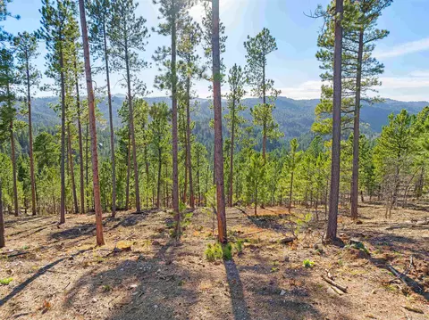 lot103 R Paradise Gulch Loop, Lead, SD 57754 photo 8