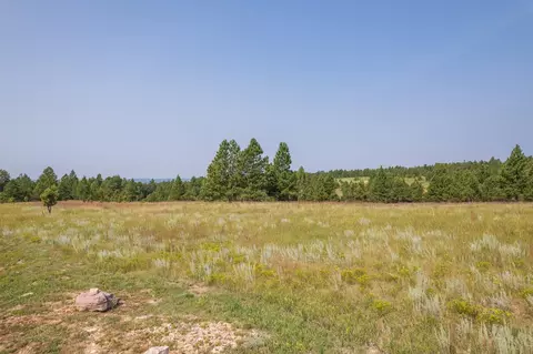 26981 Highway 89, Custer, SD 57730 photo 3