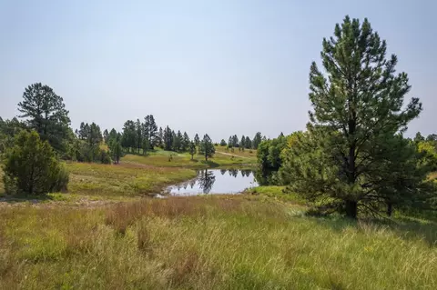 26981 Highway 89, Custer, SD 57730 photo 30
