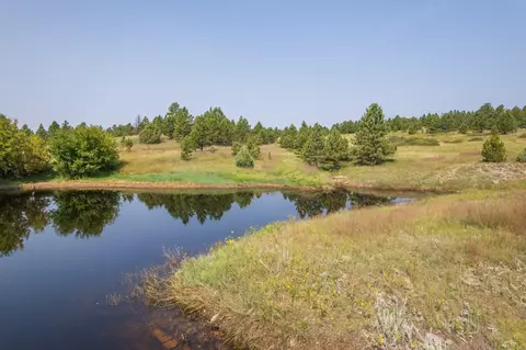 26981 Highway 89, Custer, SD 57730 photo 27