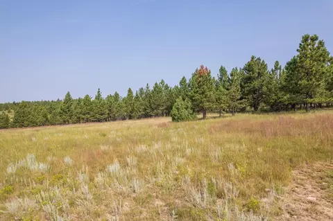 26981 Highway 89, Custer, SD 57730 photo 32