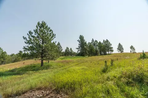 26981 Highway 89, Custer, SD 57730 photo 24