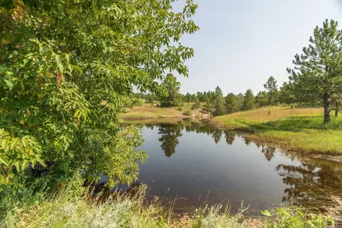 26981 Highway 89, Custer, SD 57730 photo 20
