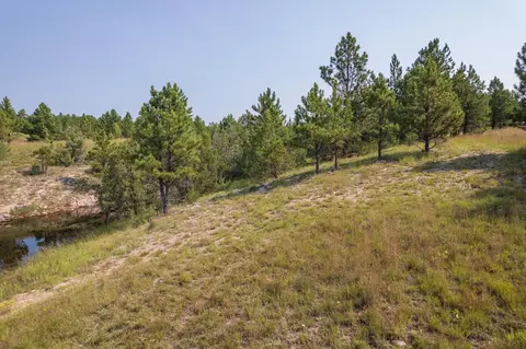 26981 Highway 89, Custer, SD 57730 photo 26