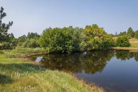 26981 Highway 89, Custer, SD 57730 photo 25