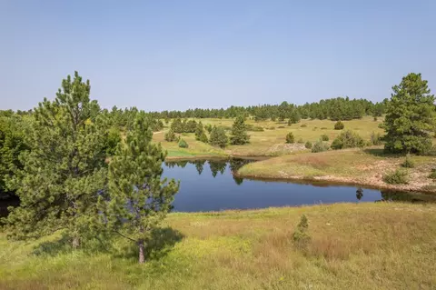 26981 Highway 89, Custer, SD 57730 photo 21