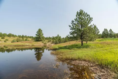 26981 Highway 89, Custer, SD 57730 photo 23