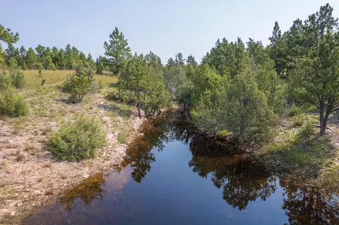 26981 Highway 89, Custer, SD 57730 photo 8